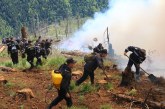 Zile pline pentru pompierii maramureșeni: Incendiile de vegetație au lovit din nou