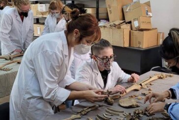 Muzeul Județean de Istorie și Arheologie din Baia Mare găzduiește prima întâlnire din cadrul proiectului de cercetare „Bioarheologie la Baia Mare/Rivulus Dominarumˮ