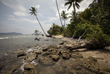 Insulele Solomon interzic acostarea navelor militare americane