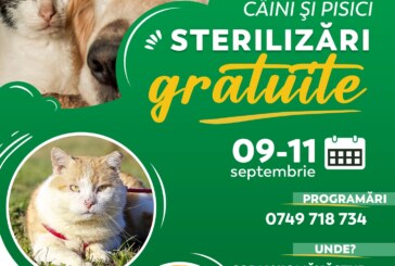 ÎN SEPTEMBRIE – Campanie de sterilizări gratuite pentru caini și pisici în Maramureș