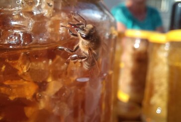 NICĂIERI CA ACASĂ – Mierea de albină, preferată de romanii care se întorc în străinătate