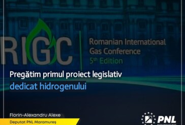 Deputatul Alexe a participat la The Romanian International Gas Conference