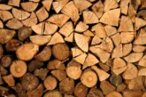 OFICIAL – S-a decis plafonarea prețului lemnului de foc. Cine va beneficia de această măsură