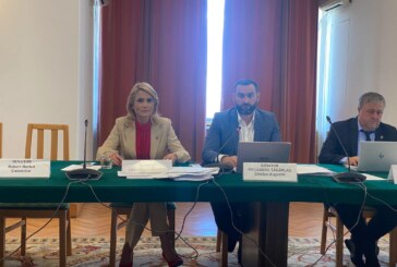 Senatorul Cristian Niculescu Țâgârlaș despre proiectele adoptate astăzi în Comisia Juridică