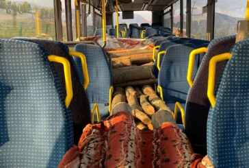 PROBLEME – Autobuz cu lemne în loc de călători depistat pe șoseaua de centură a Băii Mari