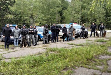 Maramureș: Patrupezii polițiști s-au antrenat alături de „colegii” lor jandarmi, în cadrul unor exerciții de dresaj