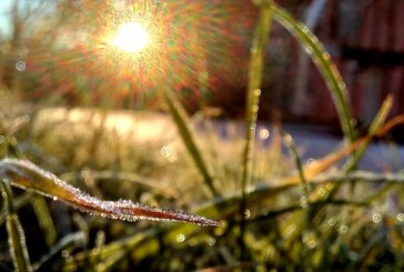 ALERTĂ METEO – Frig, brumă și îngheț la sol în Maramureș în zilele care urmează