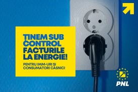 Deputatul Alexe: ”PNL a reușit să mențină neschimbate tarifele plafonate și compensate la electricitate și gaz”