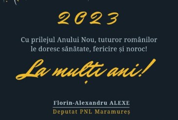 Deputat Florin Alexe: Cu prilejul Anului Nou, tuturor românilor le doresc sănătate, fericire și noroc!