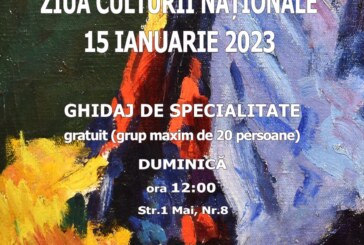 Ziua Culturii Naționale la Muzeul Județean de Artă «Centrul Artistic Baia Mare»