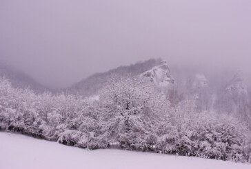 Zonele din Maramureș unde sunt așteptate azi ninsori. Ceață în Pasul Prislop