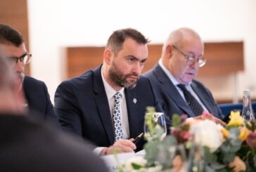 Senatorul Cristian Niculescu Țâgârlaș a participat la ședințele comune ale Comisiilor Juridice din Senatul României și Parlamentul Republicii Moldova