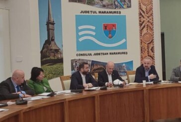 Senatorul Cristian Niculescu Țâgârlaș a participat la Comisia de Dialog Social (VIDEO)