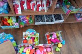 CONTROL ANPC – Legume și fructe mucegăite sau jucării interzise la vânzare, depistate în Maramureș (FOTO/VIDEO)