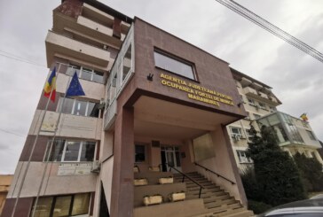 MARAMUREȘ- Absolvenții de liceu, așteptați la AJOFM pentru șomaj