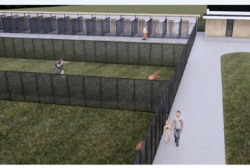 DE BINE – Vom avea în curând un nou adăpost de câini în Baia Mare