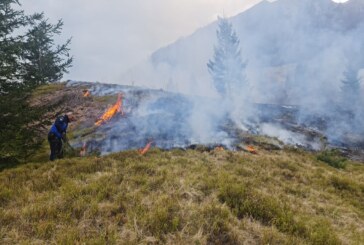 112 – Jandarmii din Cavnic și Șuior au stins cu pompierii un incendiu de vegetație în zona Creasta Cocoșului