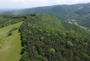 Noi cercetări arheologice de teren în sudul județului Maramureș