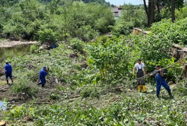 ABA SOMEȘ-TISA – Angajații SGA Maramureș fac lucrări de tăiere a vegetației de pe cursurile de apă