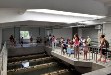 VITAL: Vizitarea stației de tratare a apei – parte a Taberei de Vară de la Liceului cu Program Sportiv Baia Mare