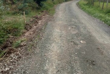 ZIARMM.RO a reușit – Locuitorii din zona drumului județean Petrova-Bârsana vor avea asfalt